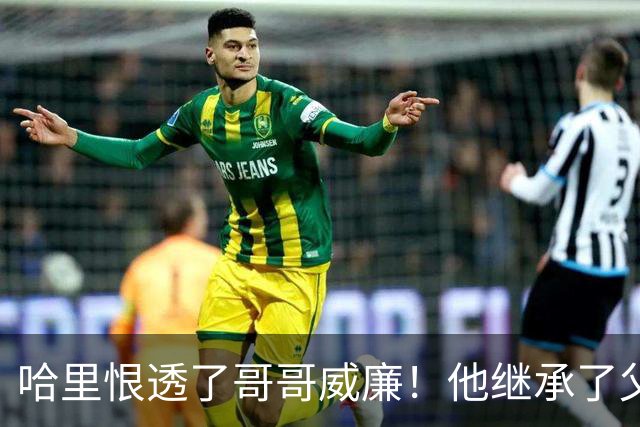 哈里恨透了哥哥威廉！他继承了父亲的王位不说，还继承了母亲的脸
